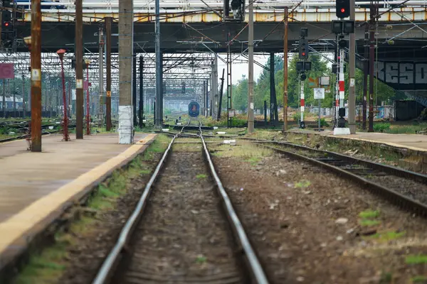 Bukurešť Rumunsko Září 2023 Vlak Zastavuje Nedaleko Severního Nádraží Bukurešti — Stock fotografie