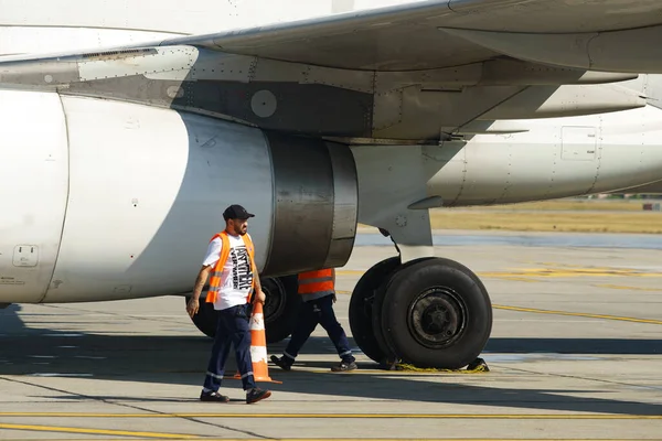 ブカレスト ルーマニア 2023年9月21日 トルコ航空の30周年記念式典は イスタンブール トルコからブカレストヘンリ コアンダ国際空港 Aihcb へのフライト運航を予定しました — ストック写真