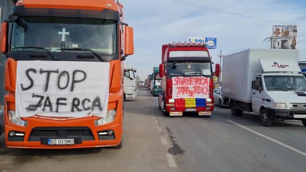 Afumati Roumanie Janvier 2023 Des Transporteurs Des Agriculteurs Roumains Protestent — Video