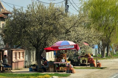 Ilfoveni, Romanya. 18 Mart 2024: Taze organik sebze ürünlerini Dambovita İlçesi, Ilfoveni köyündeki evlerinin önünde satan tarım ürünleri üreticileri