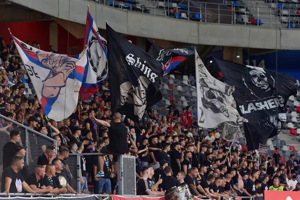 stock image Bucharest, Romania. 9th Aug, 2024: Fans of the FCSB wave their flags during the football match between FCSB and FCV Farul Constanta in the 5th round of Superliga, the first league of the Romanian 2024-2025 football championship, at the Steaua Stadium