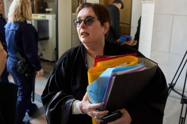 Bükreş, Romanya. 30 Aralık 2024: Aşırı sağcı Calin Georgescu 'nun avukatı Marina Alexandru Bükreş Temyiz Mahkemesi' ne geldi