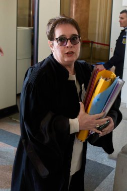 Bükreş, Romanya. 30 Aralık 2024: Aşırı sağcı Calin Georgescu 'nun avukatı Marina Alexandru Bükreş Temyiz Mahkemesi' ne geldi