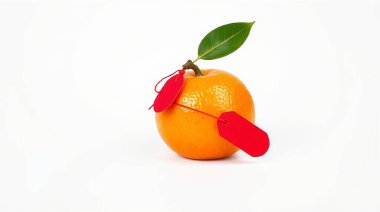 Tek Vibrant Mandarin Turuncu