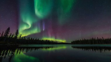 Parlayan ormanda bir kulübe.