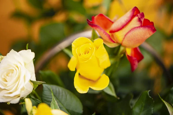 Belle Rose Jaune Gros Plan Dans Bouquet Fleurs — Photo