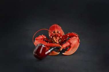 Kırmızı kerevit, arka planda sigara piposu tutuyor.