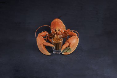 Kırmızı haşlanmış ıstakoz, yemek pişirmek için pençe içinde baharat kavanozu tutuyor.