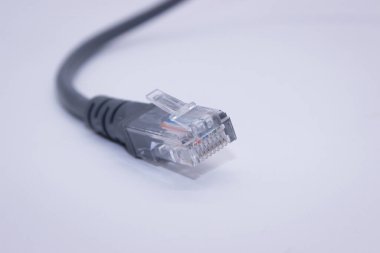 Beyaz arkaplanda LAN Ağ Kablosu izole edildi