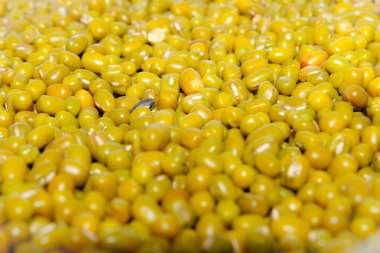 Mung Beans Mercimeği ya da Mung Daal beyaz arka planda izole edilmiş.