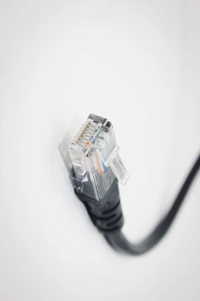 白い背景に隔離されたLanネットワークケーブル — ストック写真