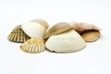 Seçici odaklı deniz resmi sat