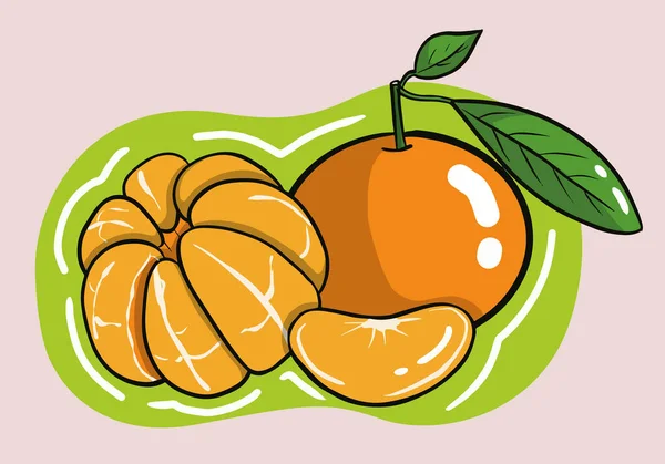 Handritade Uppsättning Färska Mandarin Eller Mandarin Frukter Isolerad Bakgrunden Vektorillustration — Stock vektor