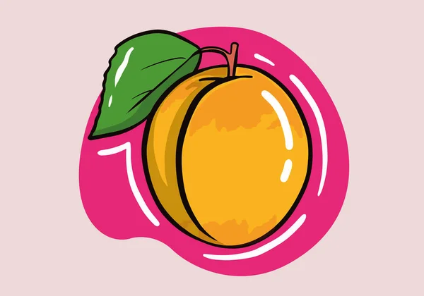 Διάνυσμα Βερίκοκου Γλυκά Καλοκαιρινά Φρούτα Απομονωμένα Στο Φόντο Βερίκοκο Στυλ — Διανυσματικό Αρχείο