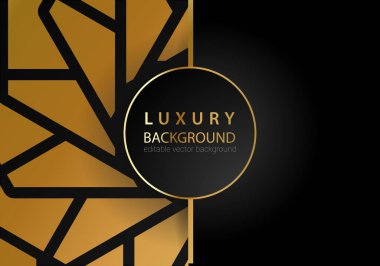 Altın çizgili elementler, dekorasyon ve bokeh ile siyah lüks arka plan. Lüks Tasarım Konsepti