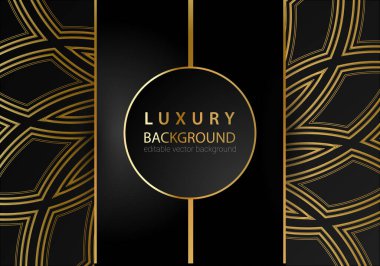 Altın çizgili elementler, dekorasyon ve bokeh ile siyah lüks arka plan. Lüks Tasarım Konsepti