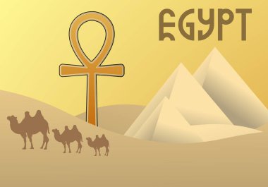 Camel caravan near the Egyptian pyramids landscape. Great pyramids of Egypt in the desert on a background. Dry desert under the sun, endless sand desert.