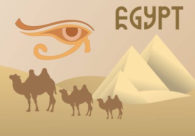 Camel caravan near the Egyptian pyramids landscape. Great pyramids of Egypt in the desert on a background. Dry desert under the sun, endless sand desert.