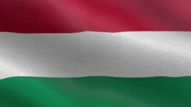 Macaristan Ulusal Bayrağı, kusursuz döngü Macaristan bayrak animasyonu. Macaristan bayrağının güzel bir görüntüsü. 3D bayrak sallama videosu. Macaristan HD çözünürlüğü.