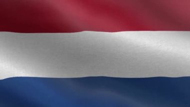 Hollanda Ulusal Bayrağı, Kusursuz Hollanda bayrağı animasyonu. Hollanda bayrağının güzel bir görüntüsü. 3D bayrak sallama videosu. Hollanda HD çözünürlüğü.