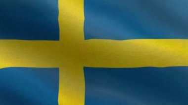 İsveç Ulusal Bayrağı, İsveç bayrağı animasyonu. İsveç bayrağının güzel bir görüntüsü. 3D bayrak sallama videosu. İsveç HD çözünürlüğü.