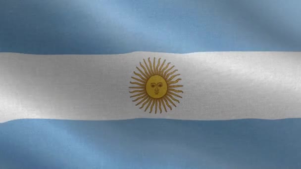 Bandera Nacional Argentina Bucle Sin Costuras Animación Bandera Argentina Una — Vídeos de Stock
