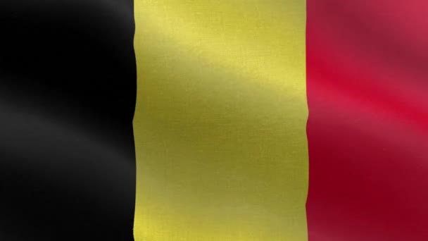 Belçika Ulusal Bayrağı Kusursuz Döngü Belçika Bayrak Animasyonu Belçika Bayrağının — Stok video