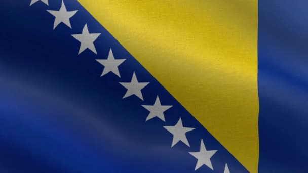 Bandiera Nazionale Della Bosnia Erzegovina Ciclo Senza Soluzione Continuità Bosnia — Video Stock