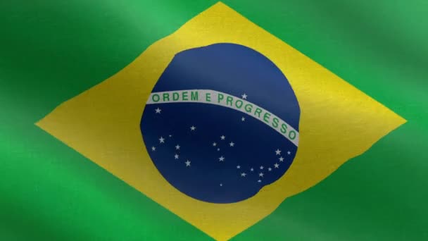Bandera Nacional Brasil Lazo Sin Costuras Animación Bandera Brasil Una — Vídeos de Stock