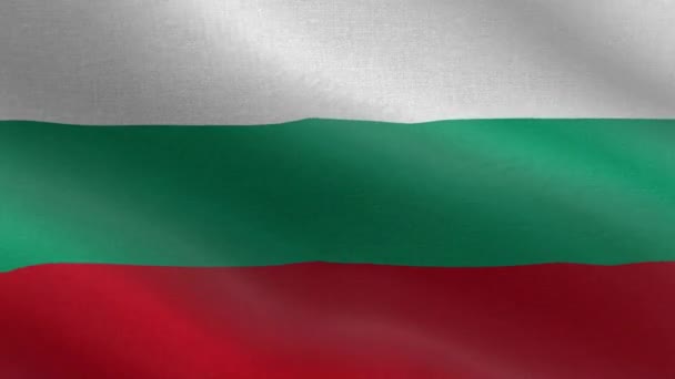National Flag Bulgaria Seamless Loop Bulgaria Flag Animation Krásný Výhled — Stock video
