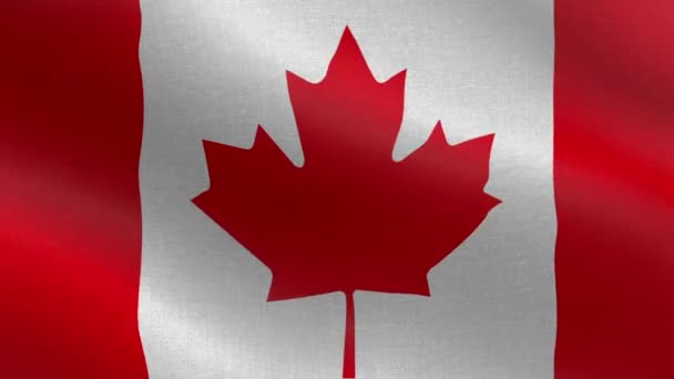 Bandeira Nacional Canadá Seamless Loop Canada Flag Animation Uma Bela — Vídeo de Stock