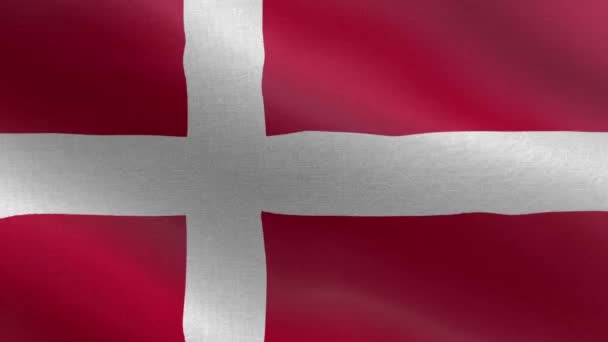 National Flag Denmark Seamless Loop Denmark Flag Animation Krásný Výhled — Stock video