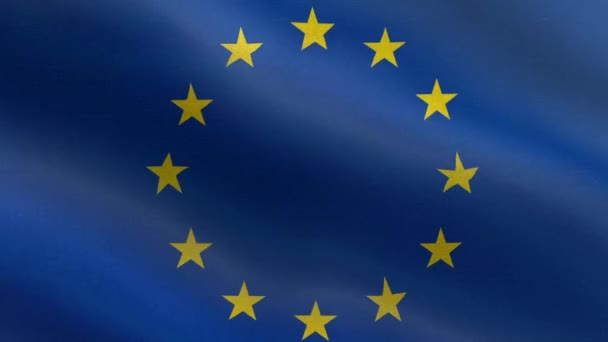 Государственный Флаг Европейского Союза Анимация Флага Европейского Союза Швов Красивый — стоковое видео