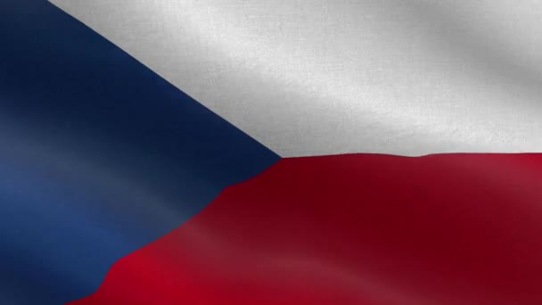 Bandiera Nazionale Della Repubblica Ceca Ciclo Senza Soluzione Continuità Repubblica — Video Stock