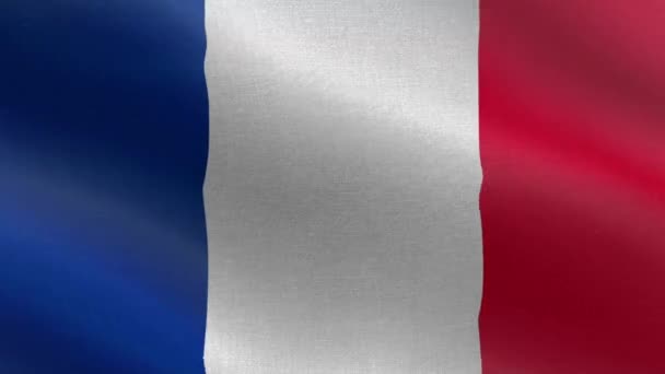 National Flag France Seamless Loop France Flag Animation Krásný Výhled — Stock video
