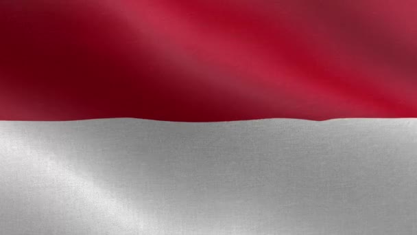 Nationalflagge Indonesiens Animation Der Flagge Indonesiens Nahtlosschleife Ein Schöner Blick — Stockvideo