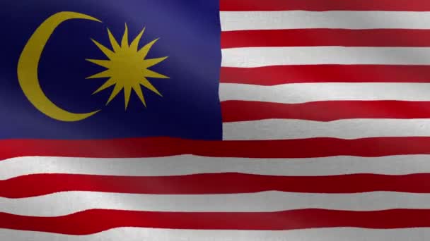National Flag Malaysia Zökkenőmentes Hurkot Malajzia Zászló Animáció Gyönyörű Kilátás — Stock videók