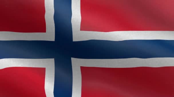 Flaga Narodowa Norwegii Płynna Pętla Animacji Norweskiej Flagi Piękny Widok — Wideo stockowe