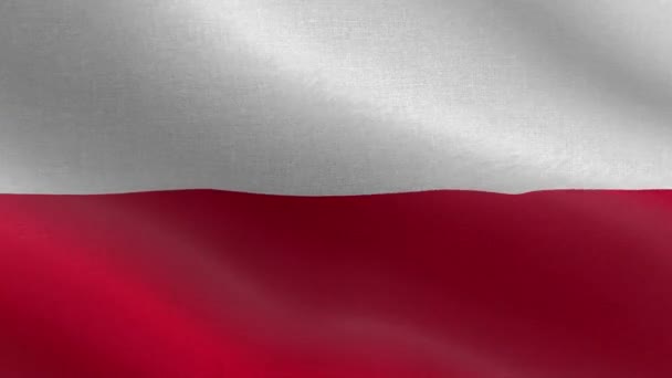Bandera Nacional Polonia Lazo Sin Costuras Animación Bandera Polonia Una — Vídeos de Stock