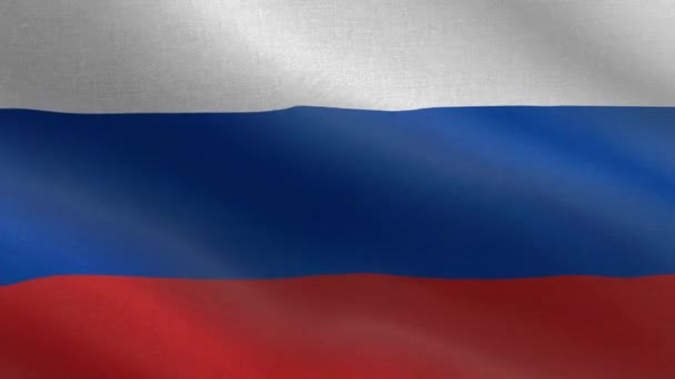 Nationalflagge Russlands Animation Der Russischen Flagge Nahtlosschleife Ein Schöner Blick — Stockvideo