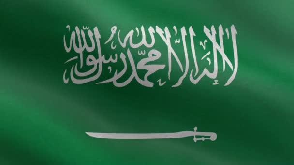 Государственный Флаг Саудовской Аравии Анимация Флага Саудовской Аравии Красивый Вид — стоковое видео