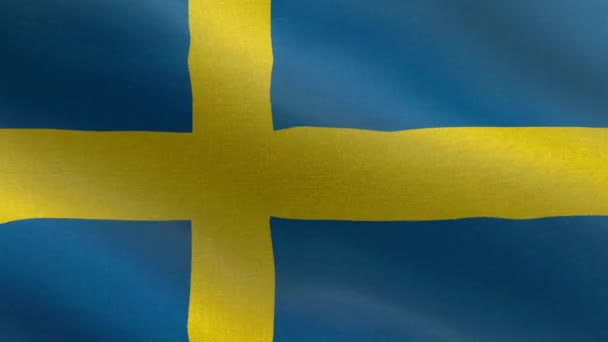 Nationell Flagga Sverige Sömlös Loop Sverige Flagga Animation Vacker Utsikt — Stockvideo