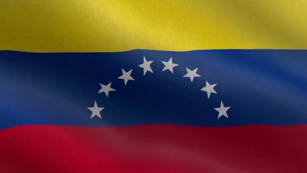Bandera Nacional Venezuela Bucle Sin Costura Animación Bandera Venezuela Una — Vídeo de stock