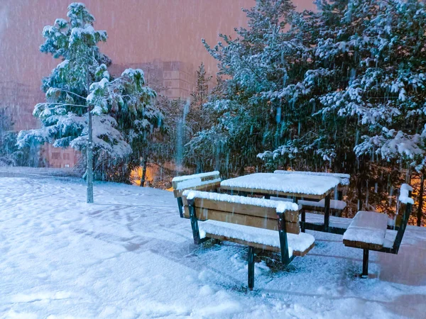 stock image it's snowing on the benches in the park at night