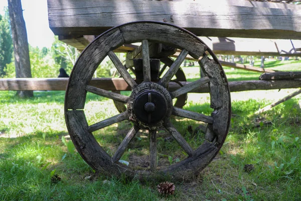 Old Wooden Cart Large Wheels Farm Forest Background — Stock Photo, Image