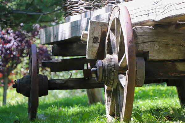 An old wooden cart with large wheels in the farm with forest background