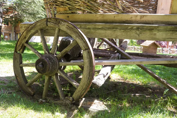 农场里一辆有大轮子 有森林背景的老式木制推车 — 图库照片