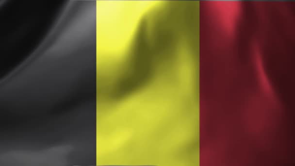 Nahaufnahme Der Belgischen Flagge Die Wind Weht Belgiens Nationalflagge Weht — Stockvideo