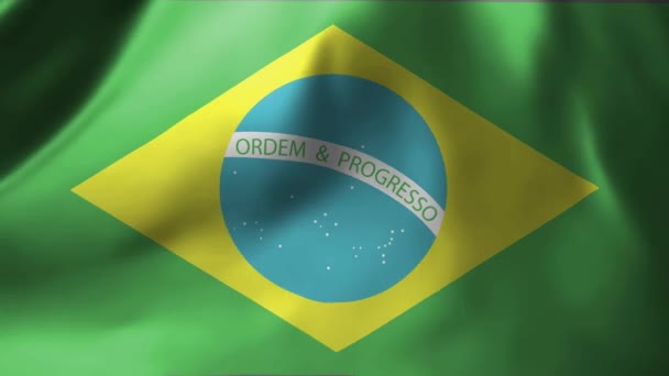 바람에 브라질 국기의 브라질 국기흔들기 고품질 — 비디오