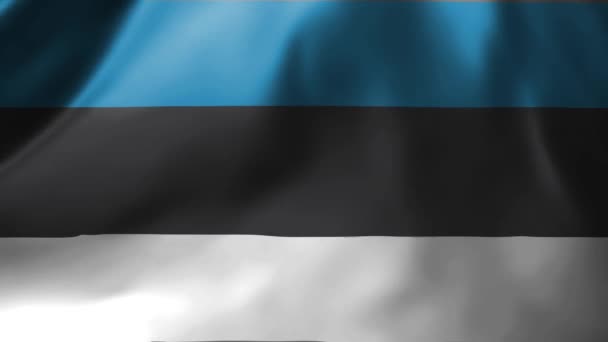 Close Estlands Flag Vinker Vinden Estland Nationalt Flag Vinker Høj – Stock-video